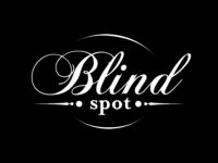 logo_BLINDSPOT-02